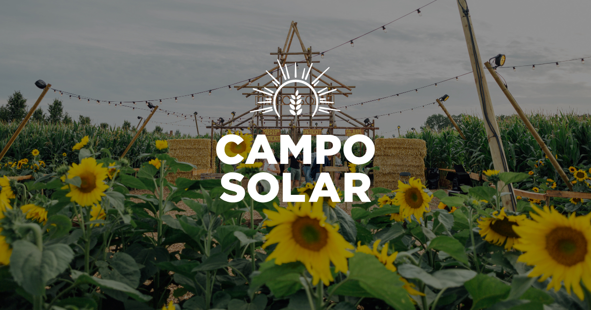 Campo Solar - Proef de festivalzomer in Damme