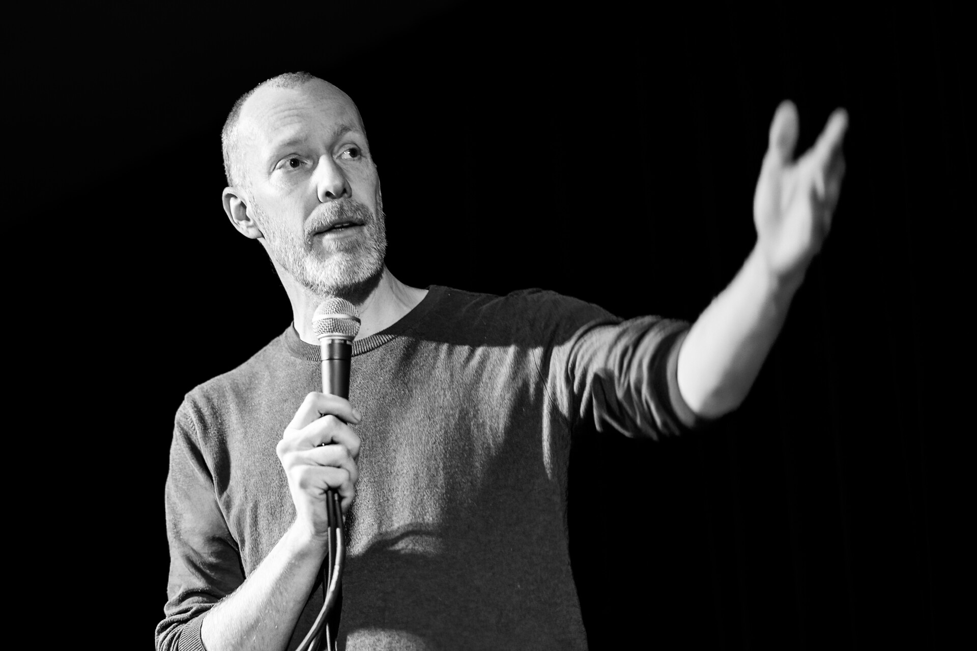 Comedy: David Galle