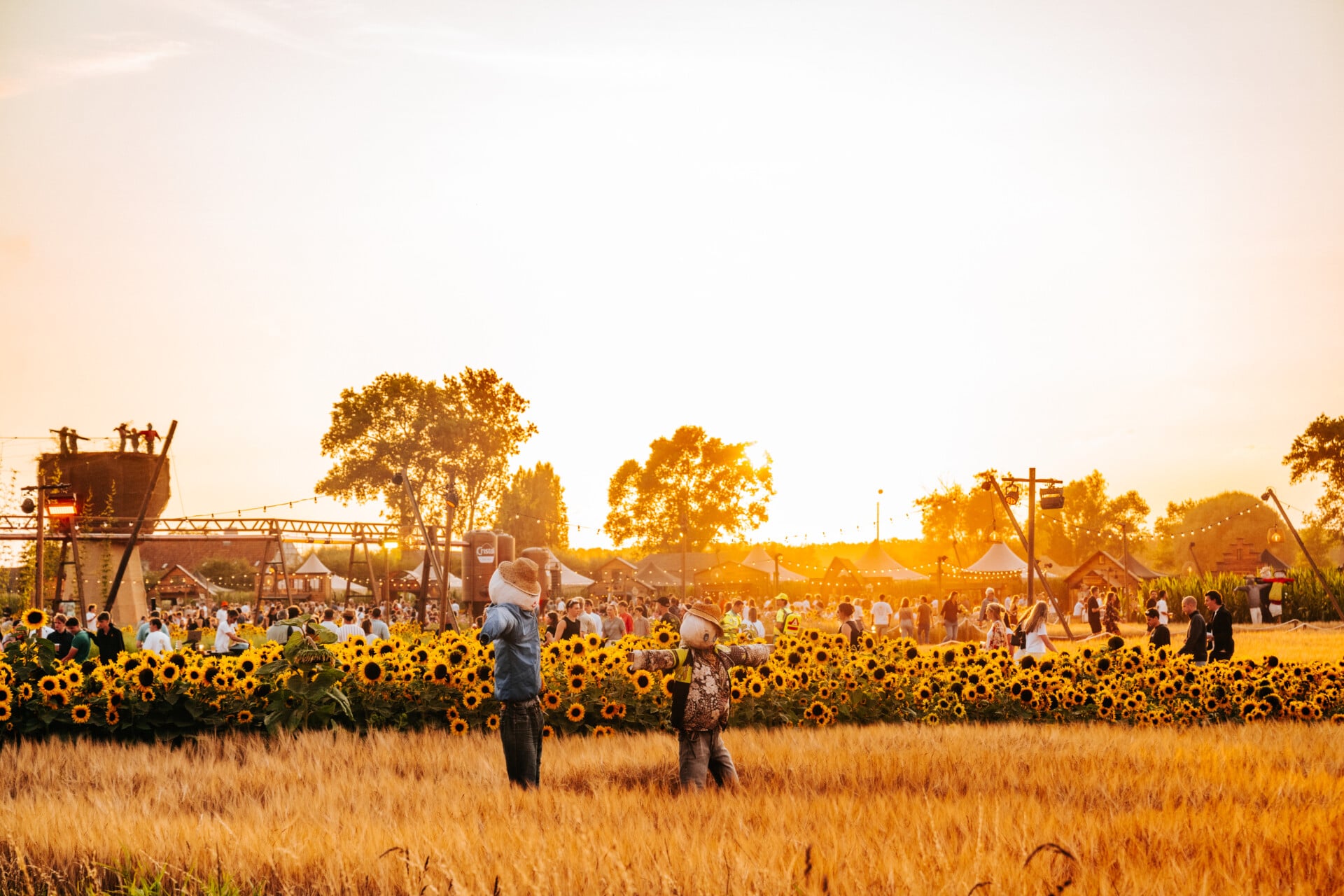 Campo Solar 2027
